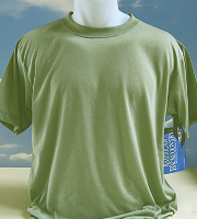 Vapor Apparel adult basic t-shirt in spruce