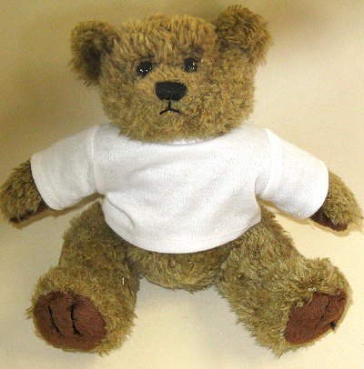 teddy with t shirt
